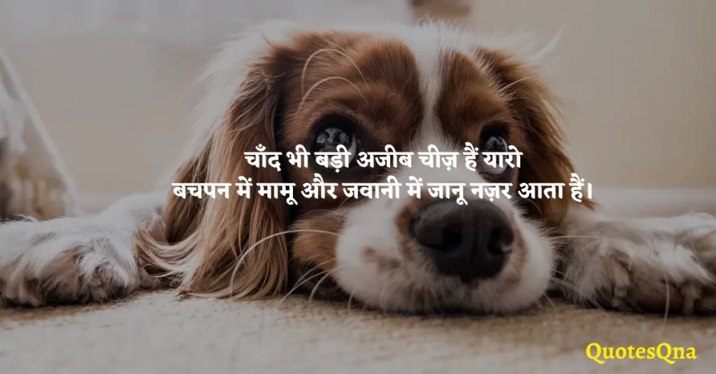 2 Line Funny Love Status in Hindi